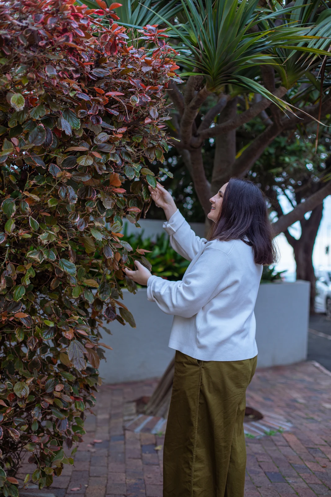 Jacolene Prinsloo — Sowing life into spaces through organic design